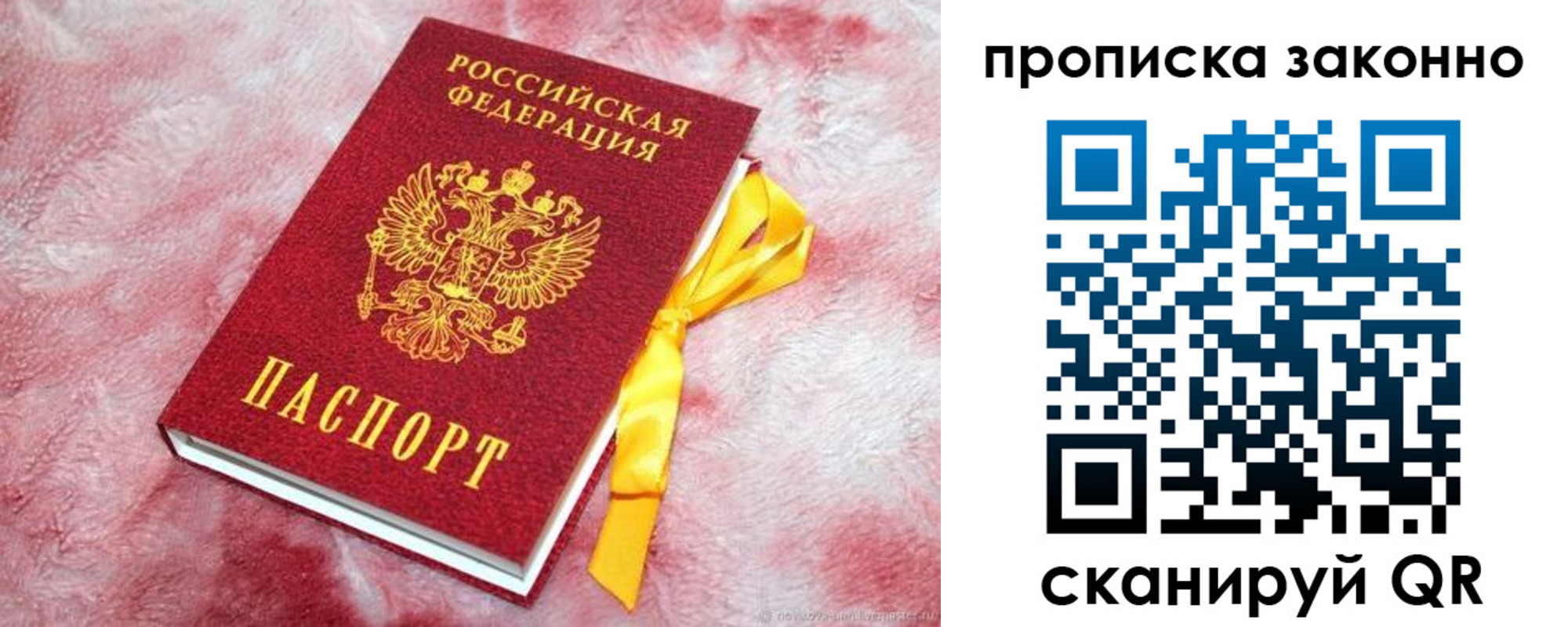 временная регистрация поиск в Новомосковске